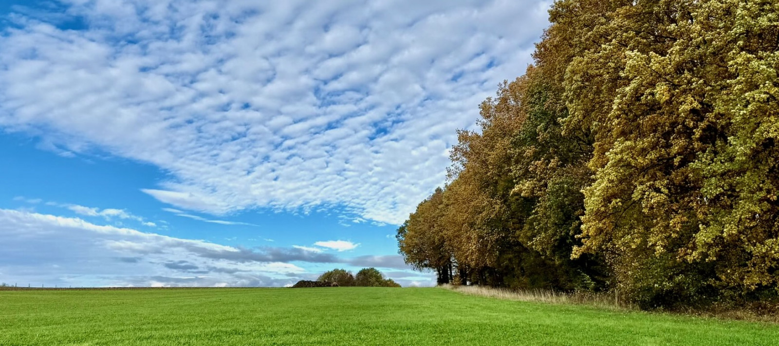 Podzimní Příbor 2025