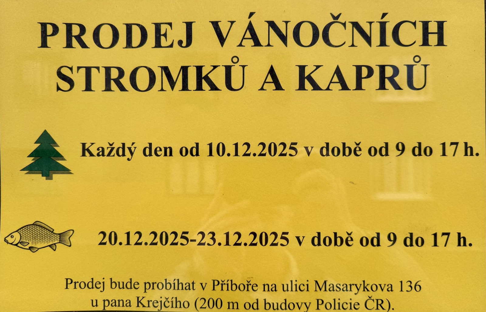 Tradiční prodej vánočních stromků a kaprů v Příboře u pana Krejčího startuje!